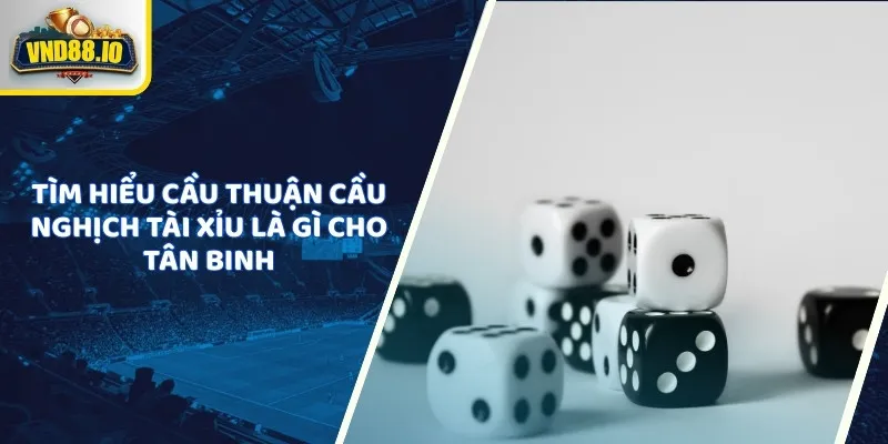Cầu Thuận Cầu Nghịch Tài Xỉu Là Gì Và Kinh Nghiệm Chuẩn Xác 1 Tìm hiểu cầu thuận cầu nghịch tài xỉu là gì cho tân binh